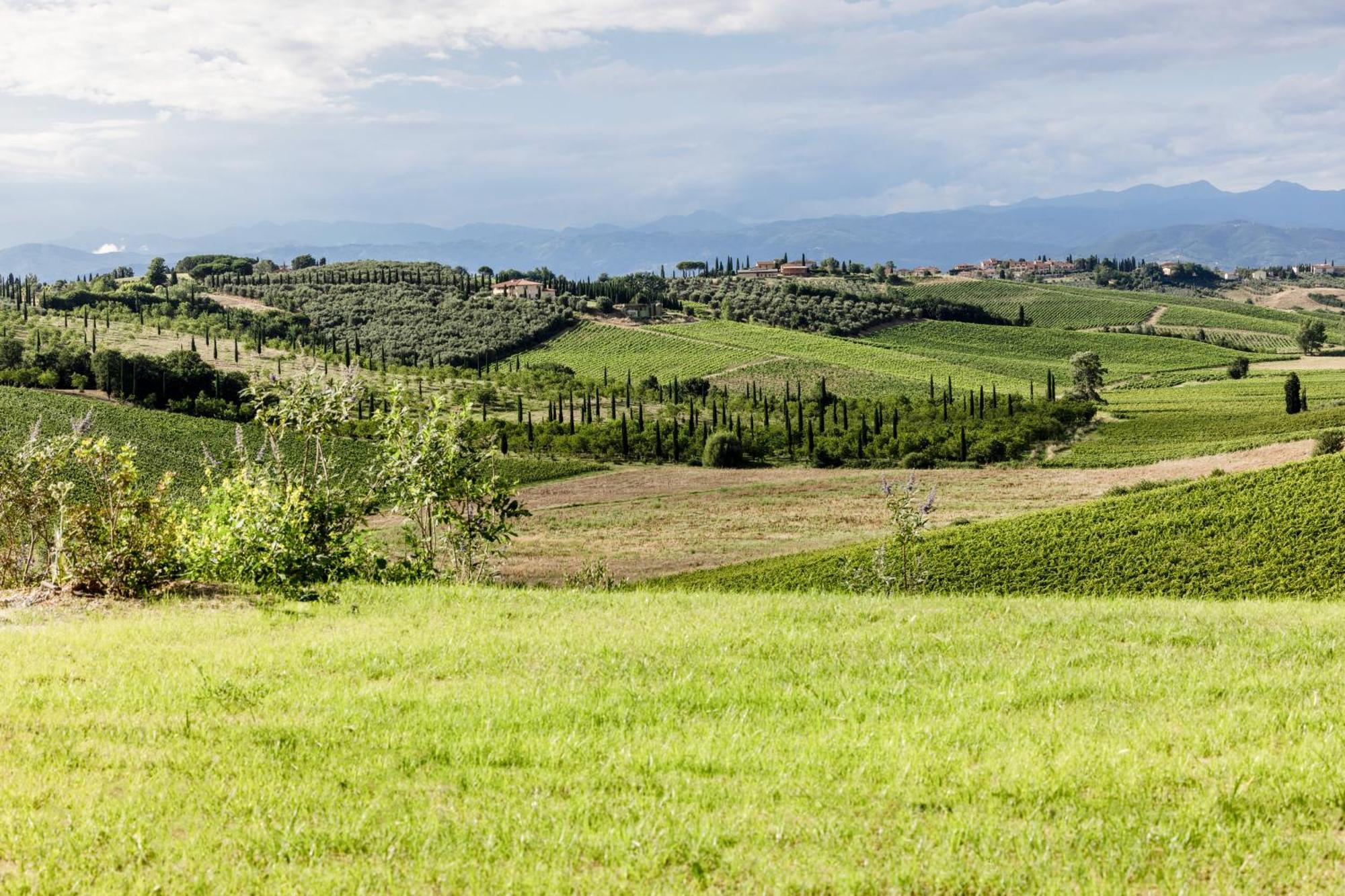 Colle Alberti Country House Cerreto Guidi Exteriör bild